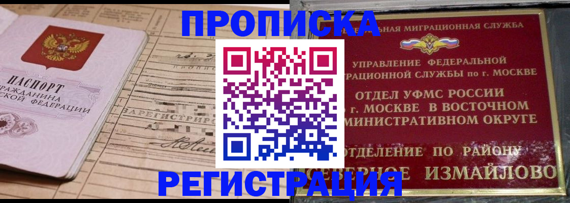 где прописаться в Донском
